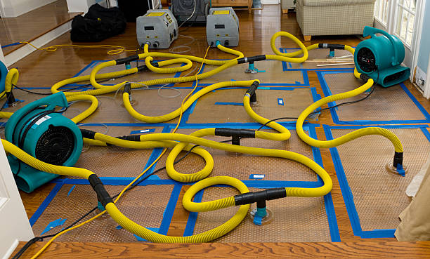 Professional Crawl Space Water Removal technician working in Ottsville, PA